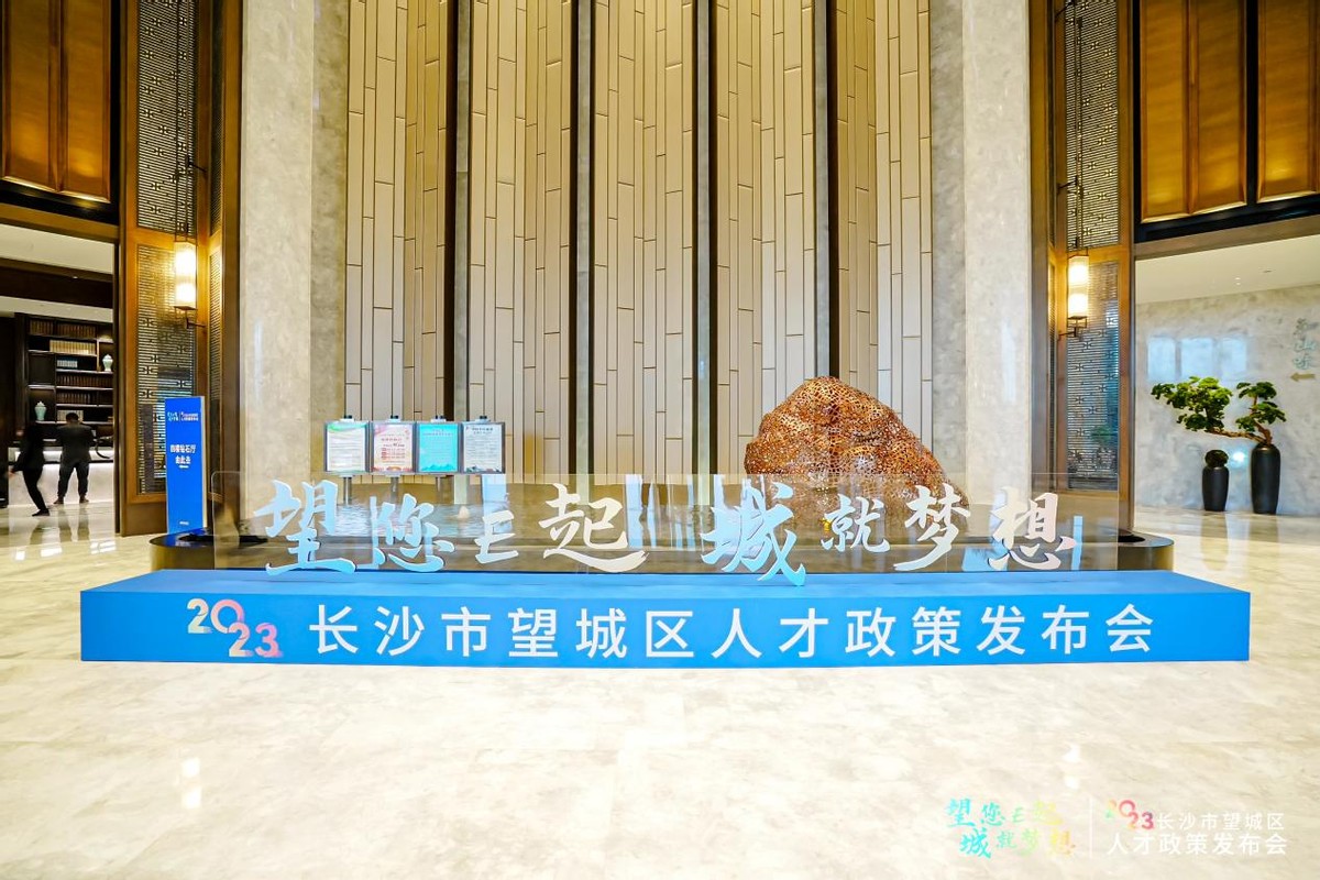笃行不怠勾勒人才图，望城区人才工作为高质量发展增添强劲动力