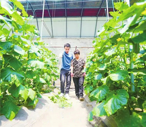 葛伟：扎根沃土的新农人