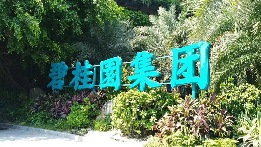 对市场预判不足，碧桂园的债务危机难解