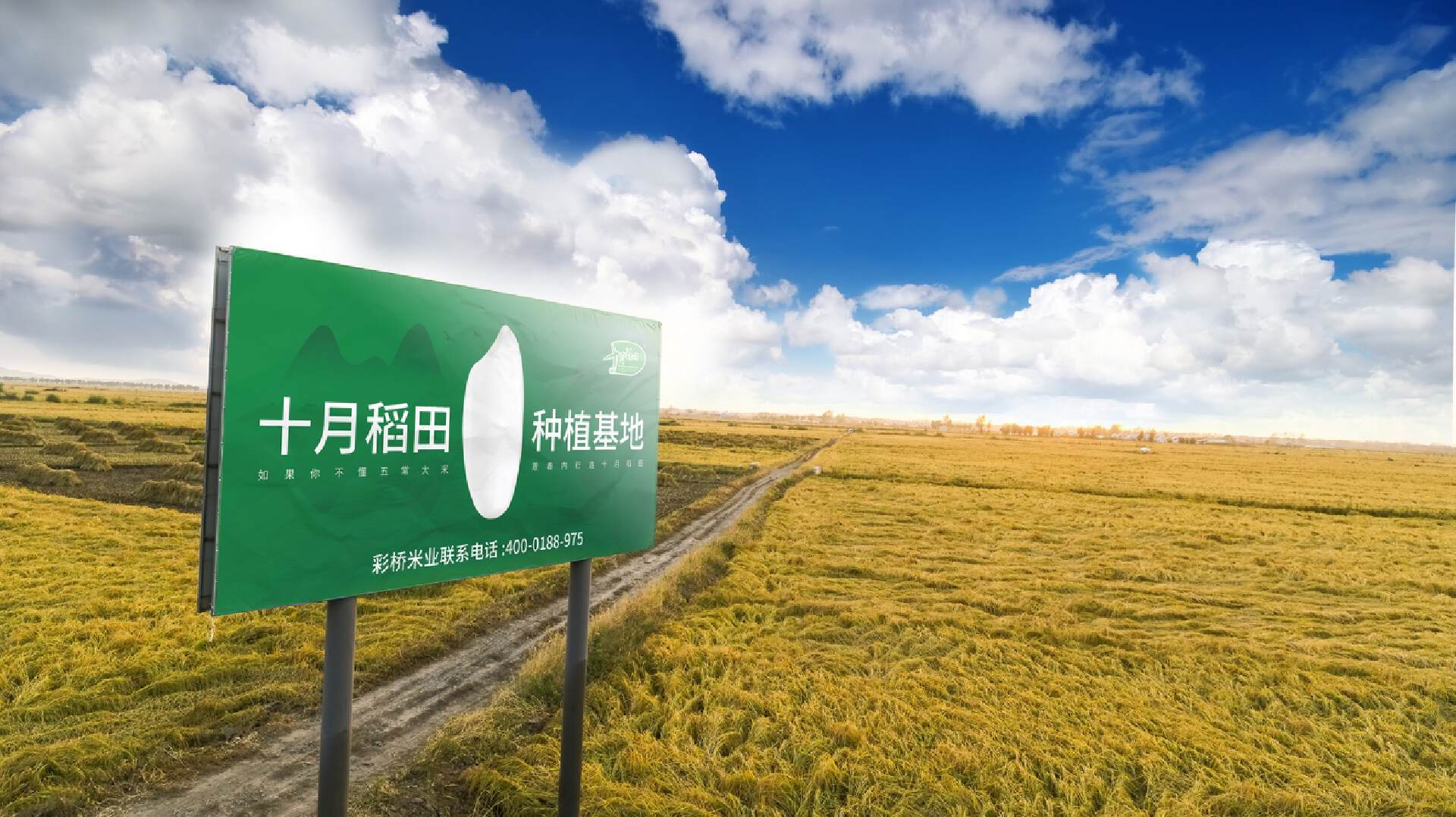 十月稻田的焦虑，不只是盈利能力不足