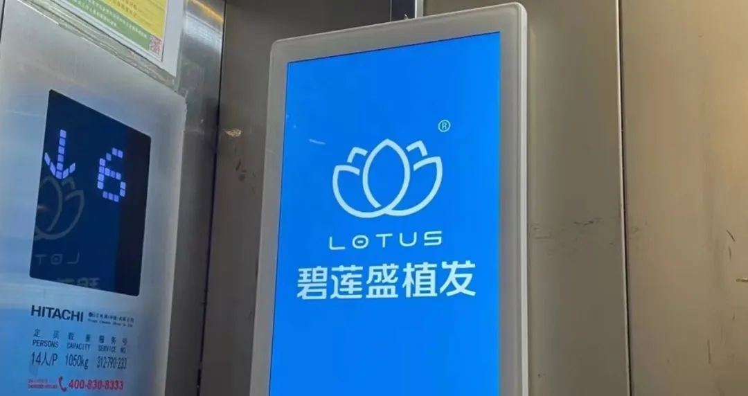 植发行业进入红海，碧莲盛凭什么“秃飞猛进”？