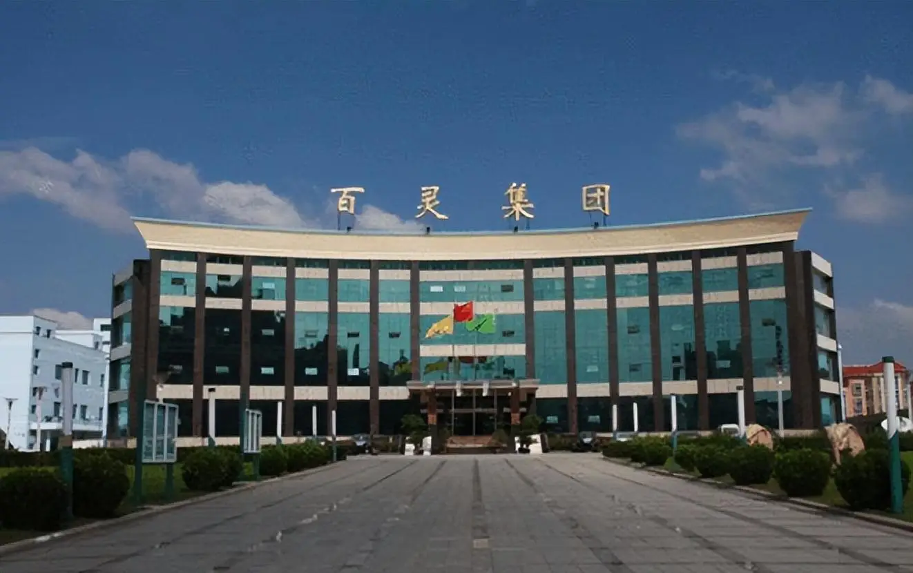 一边是渠道变革、一边是增收不增利，贵州百灵进入多事之秋