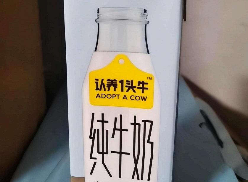 认养一头牛：乳业新贵不太“牛”