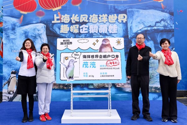 半马苏河 快乐加"马" 长风海洋世界14年来繁育的首只企鹅宝宝名字揭晓 半马苏河 快乐加"马" 长风海洋世界14年来繁育的首只企鹅宝宝名字揭晓