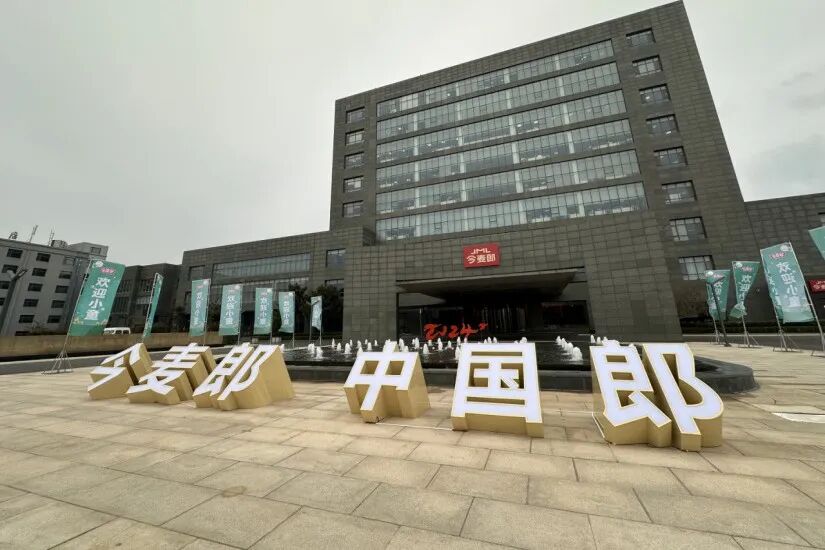 31岁的今麦郎,为什么在2025年跑去“无人区种大树”