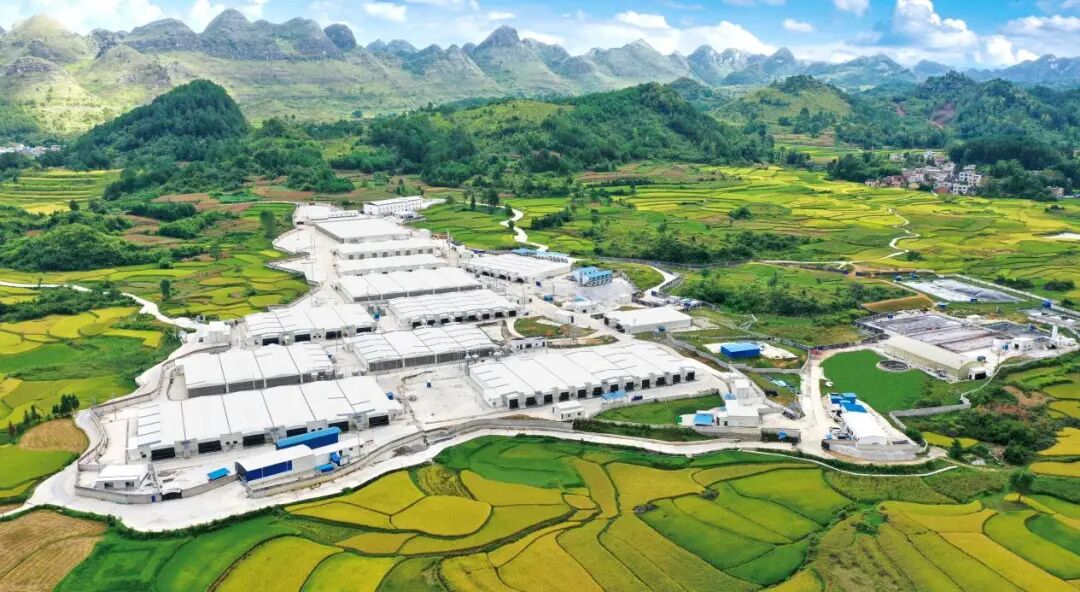 牧原：剥离养猪周期外衣，看见一家“技术流”企业