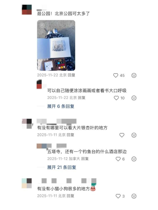 小红书深度使用体验:帮你避坑不踩雷,目前没有卸载 小红书深度使用体验:帮你避坑不踩雷,目前没有卸载