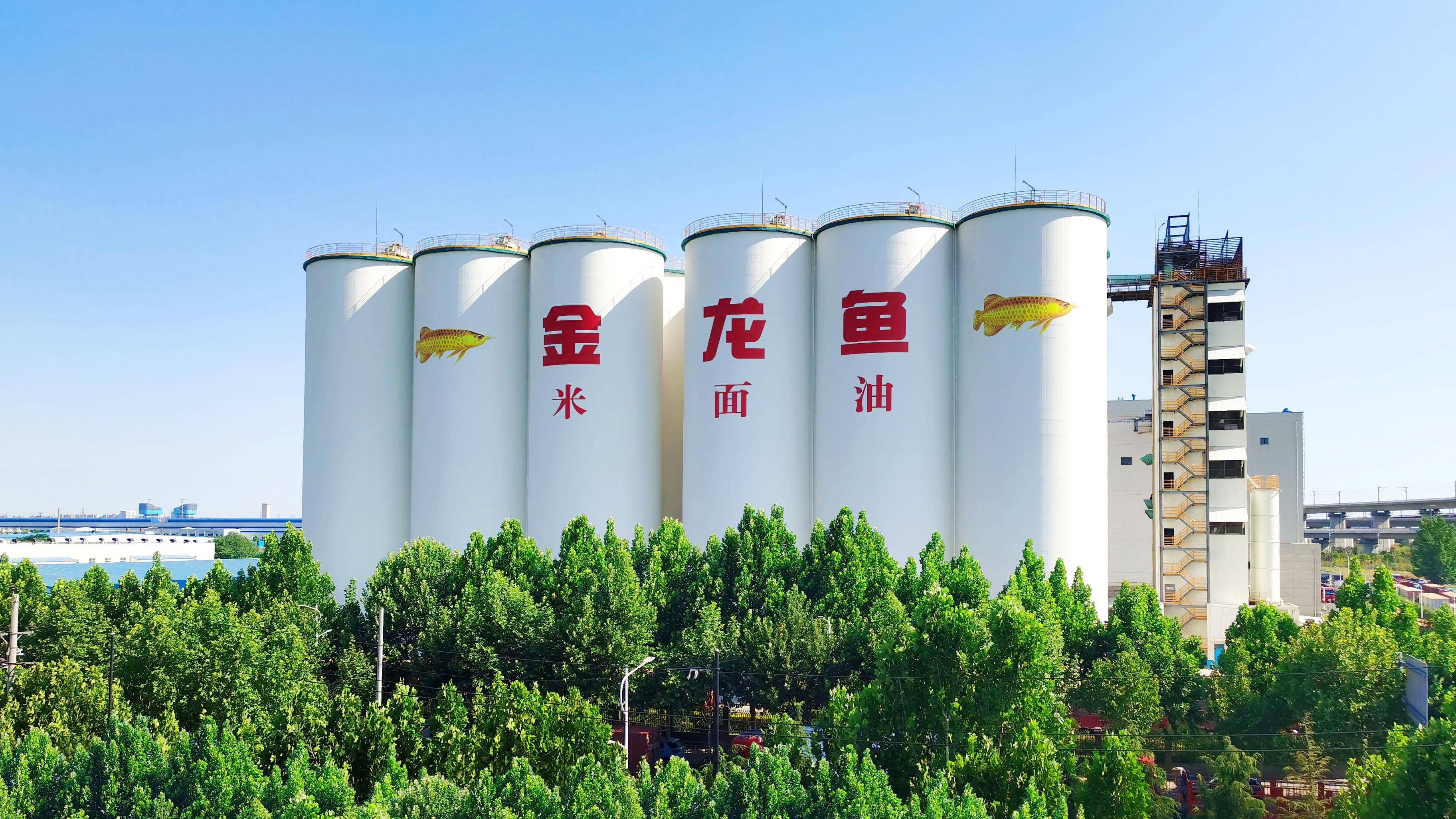 6000亿市值蒸发之后,金龙鱼还在装睡