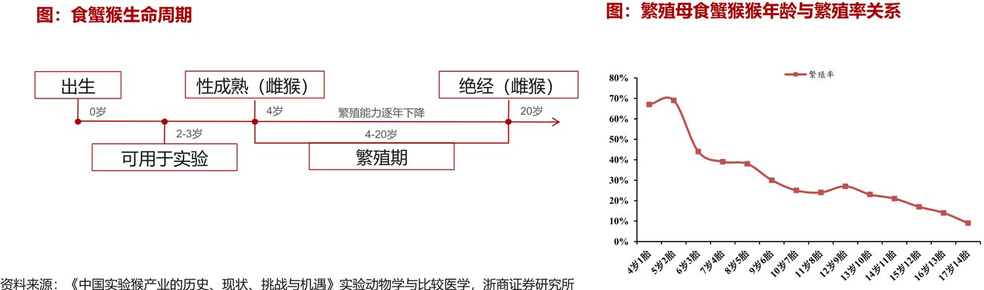  320亿市值背后：昭衍新药的猴价泡沫与主业真相丨钛媒体研究