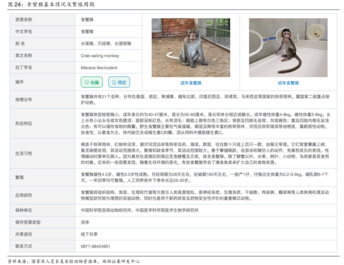  320亿市值背后：昭衍新药的猴价泡沫与主业真相丨钛媒体研究