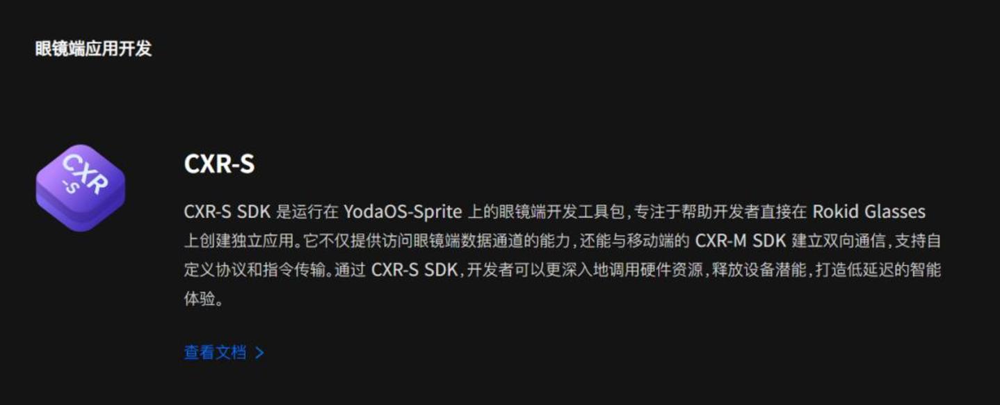 路线分野与终局迷雾:Rokid不想做下一个黑莓 路线分野与终局迷雾:Rokid不想做下一个黑莓