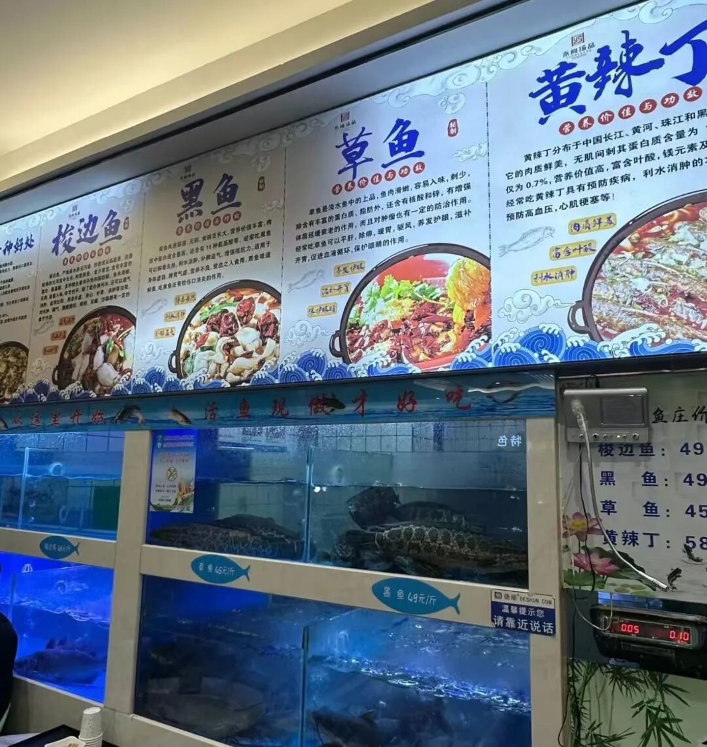 "活鱼现杀"餐厅的泡沫破了吗? "活鱼现杀"餐厅的泡沫破了吗?