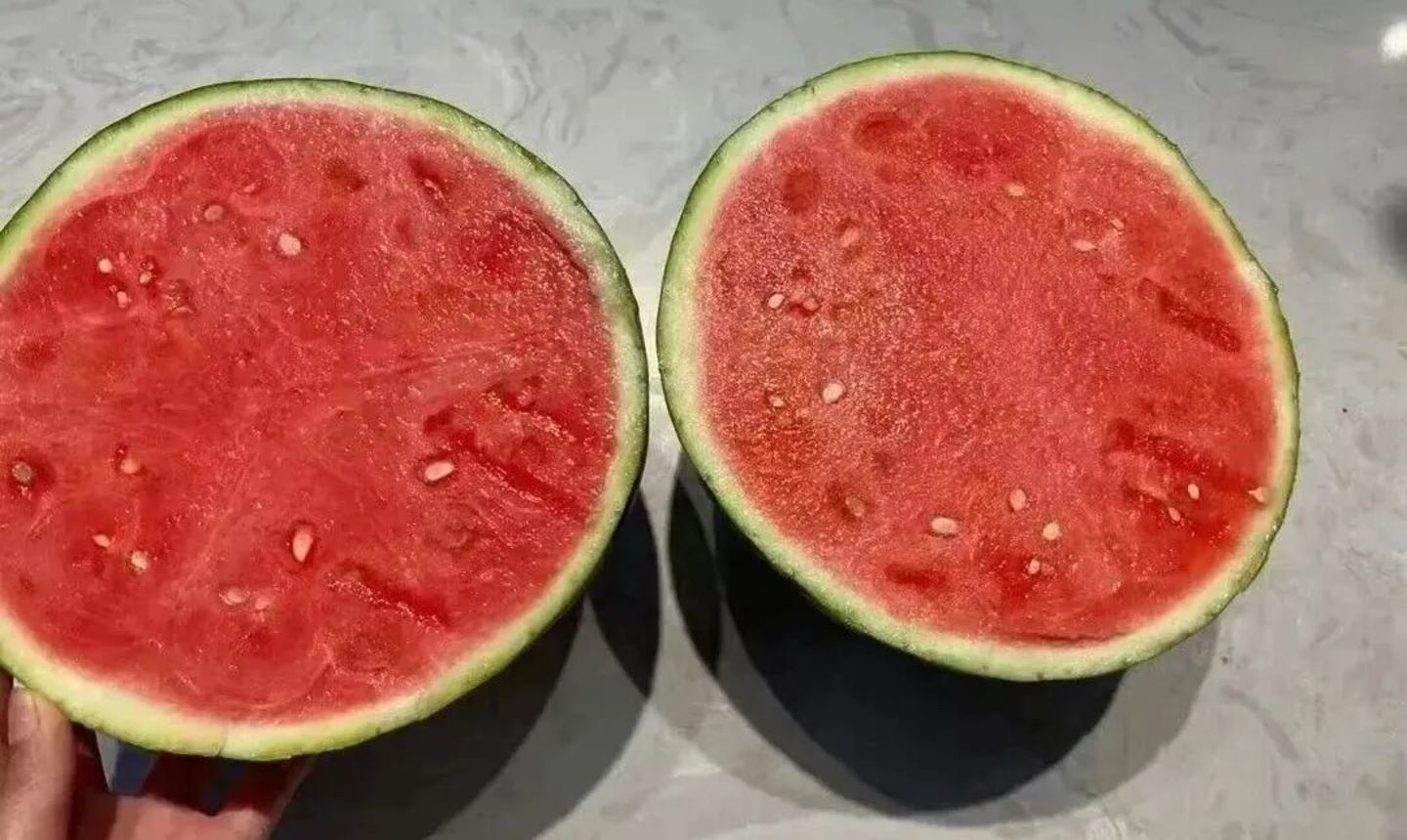 西瓜,真的几分钱一斤了? 西瓜,真的几分钱一斤了?