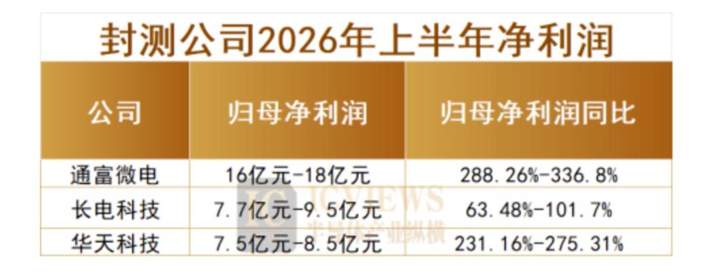 净利暴增744倍，半导体公司谁在疯狂吸金？