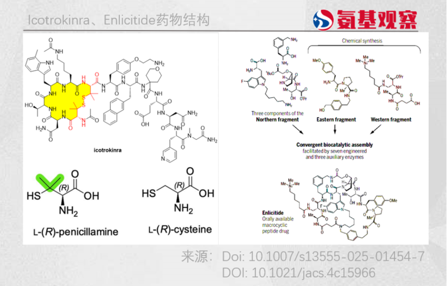 多肽药物的下一场革命,开始了 多肽药物的下一场革命,开始了