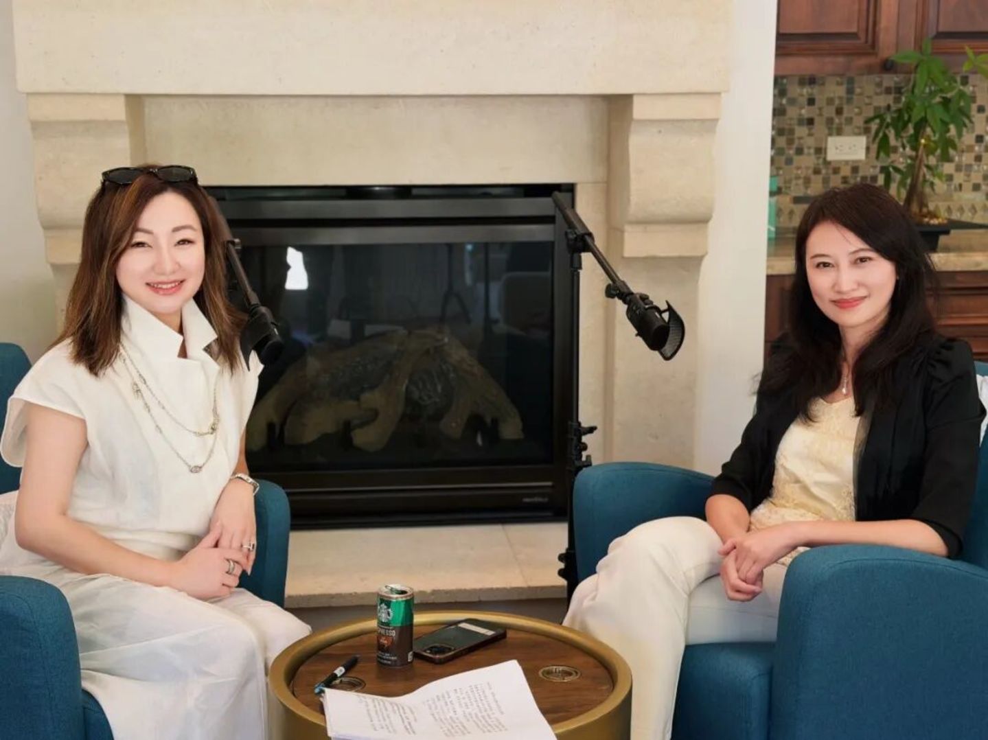  押注田渊栋估值46.5亿美元的RSI后，嘉加资本郑泓说：硅谷创始人，请别爱上你的技术