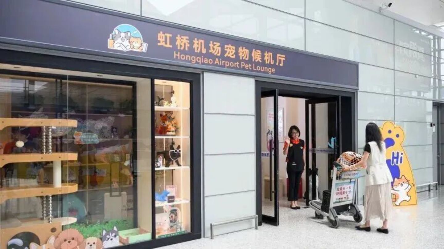 吃喝住行全面升级,宠物经济“再进化” 吃喝住行全面升级,宠物经济“再进化”