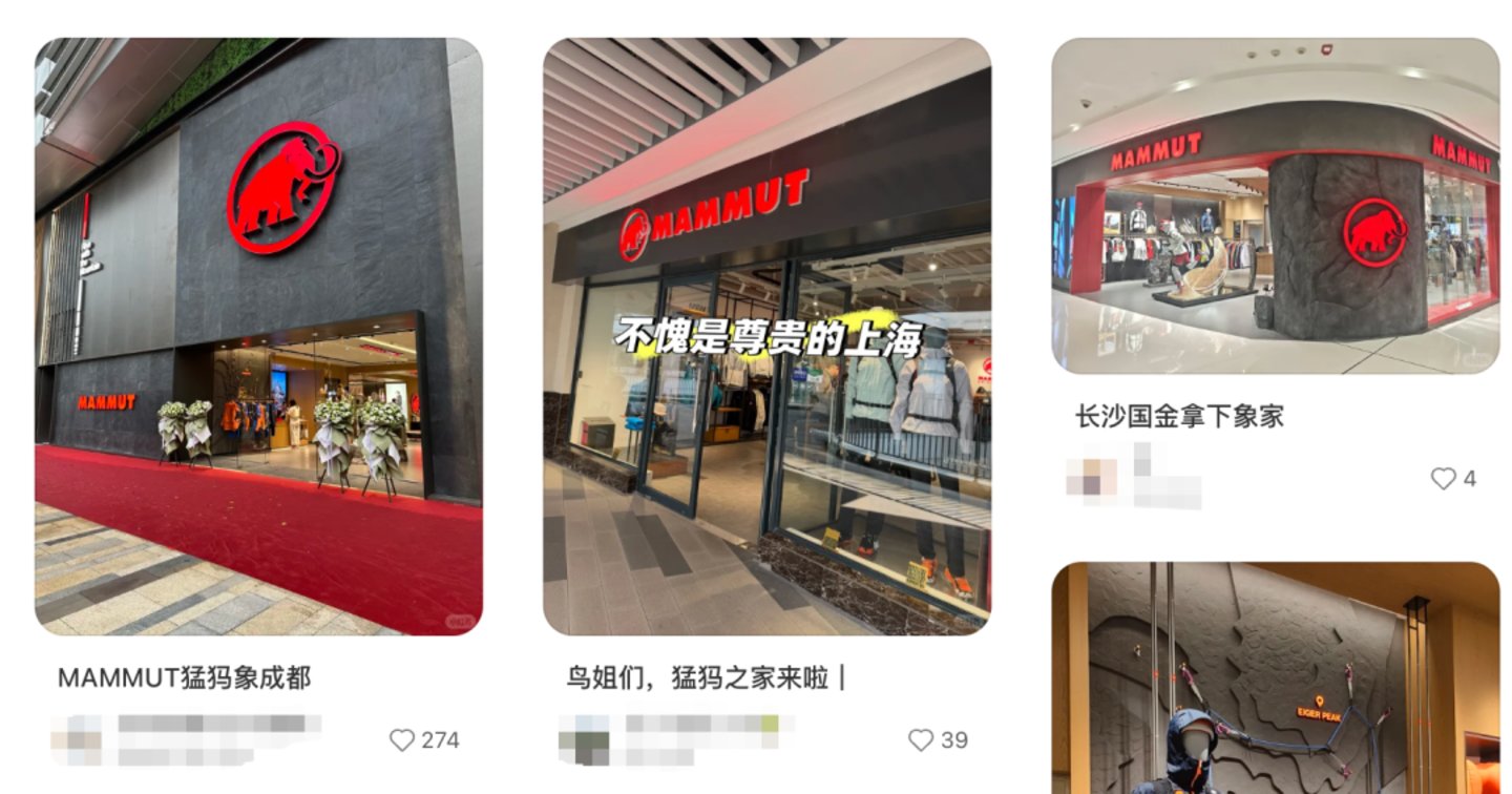 软壳鼻祖猛犸象可能也要越来越贵了 软壳鼻祖猛犸象可能也要越来越贵了