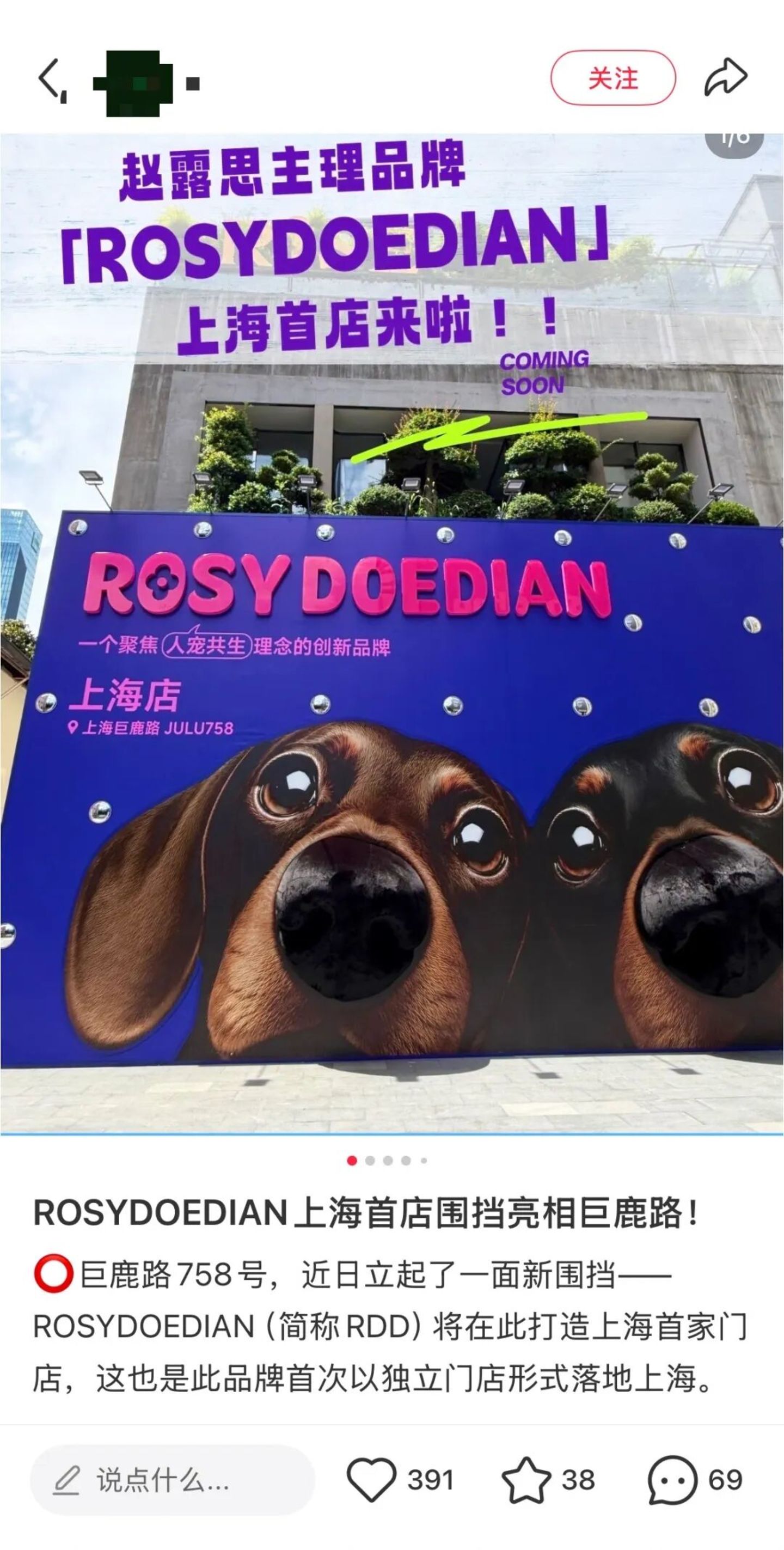 赵露思主理品牌RDD,困于粉丝 赵露思主理品牌RDD,困于粉丝