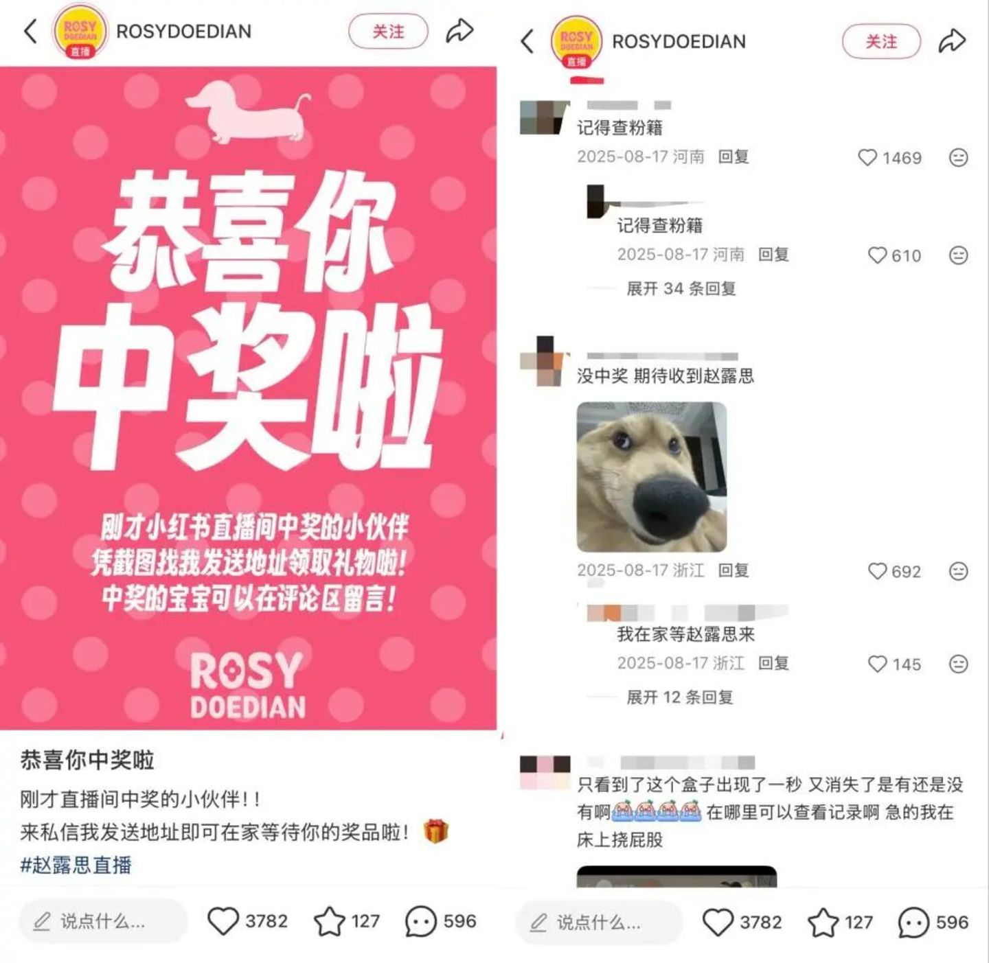 赵露思主理品牌RDD,困于粉丝 赵露思主理品牌RDD,困于粉丝