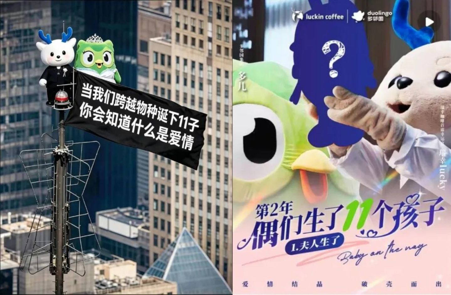 3.6万家瑞幸,正在“围剿”瑞幸 3.6万家瑞幸,正在“围剿”瑞幸