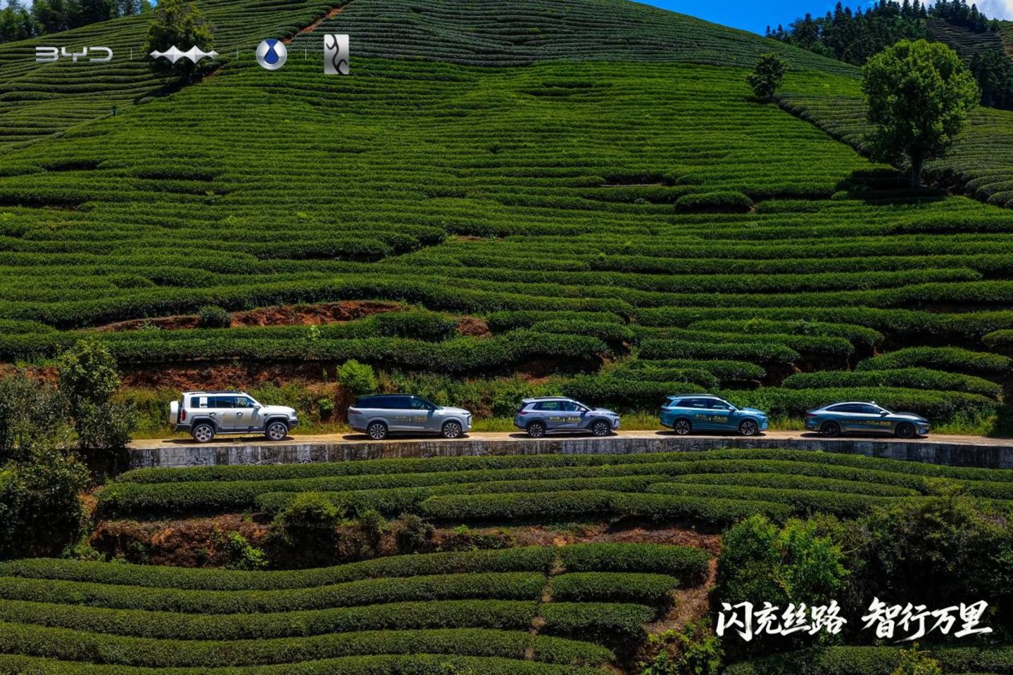 比亚迪驰骋丝路,解码药瓷丝茶商贸印记 比亚迪驰骋丝路,解码药瓷丝茶商贸印记
