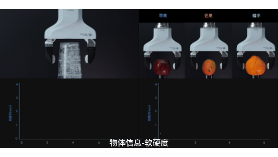 对话橡木果机器人姜峣:让机器人像人一样,凭“本能”干活 对话橡木果机器人姜峣:让机器人像人一样,凭“本能”干活