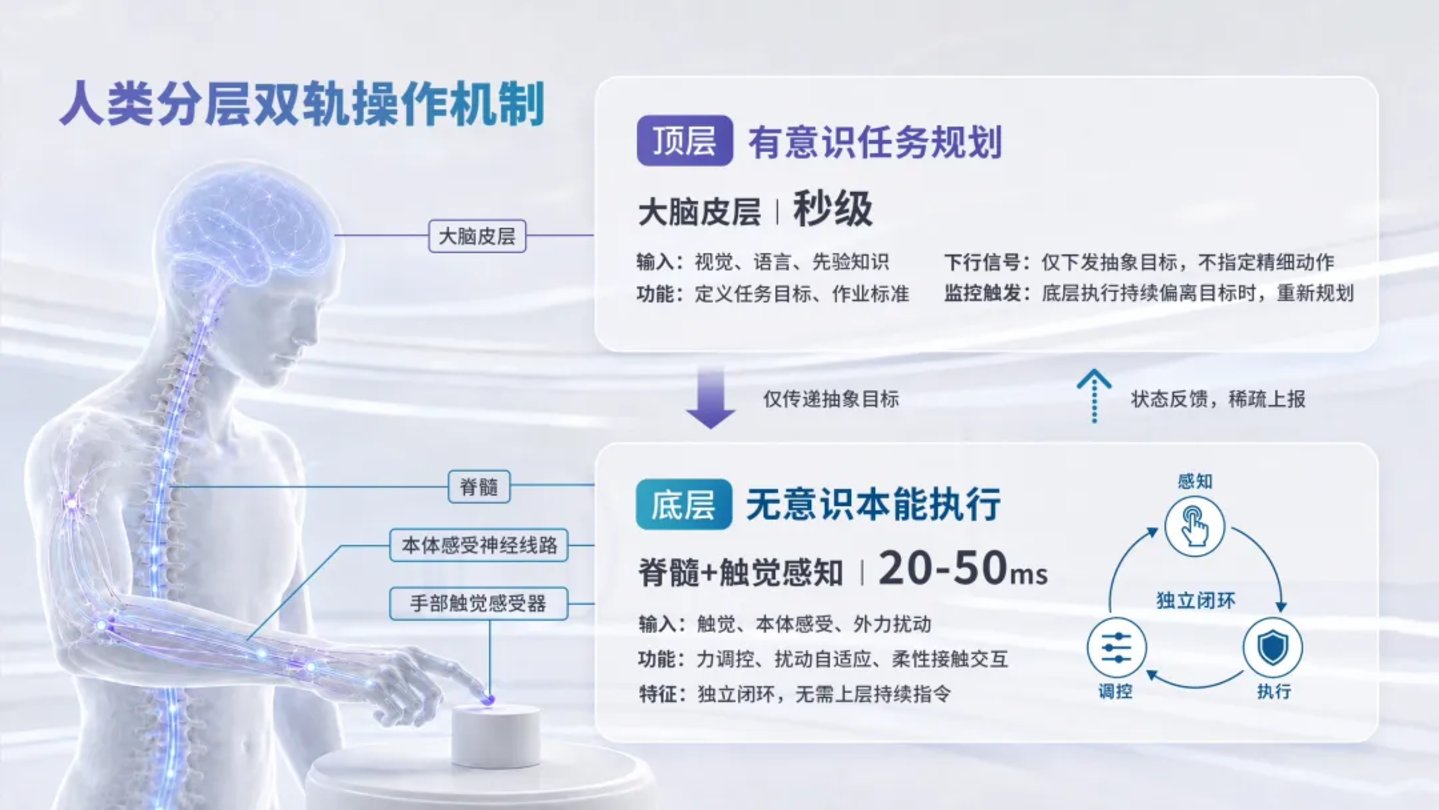 对话橡木果机器人姜峣:让机器人像人一样,凭“本能”干活 对话橡木果机器人姜峣:让机器人像人一样,凭“本能”干活
