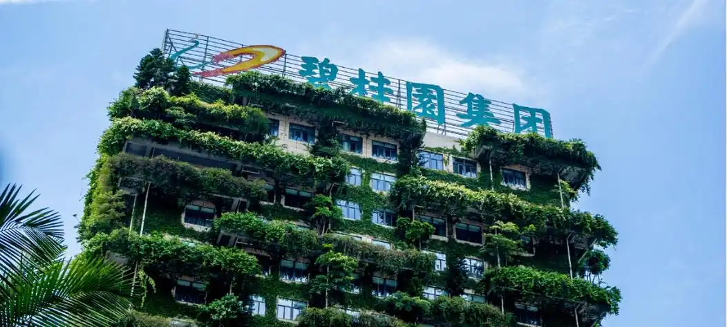 业主年年交钱，小区年年凑合，碧桂园物业的钱流向了哪里？