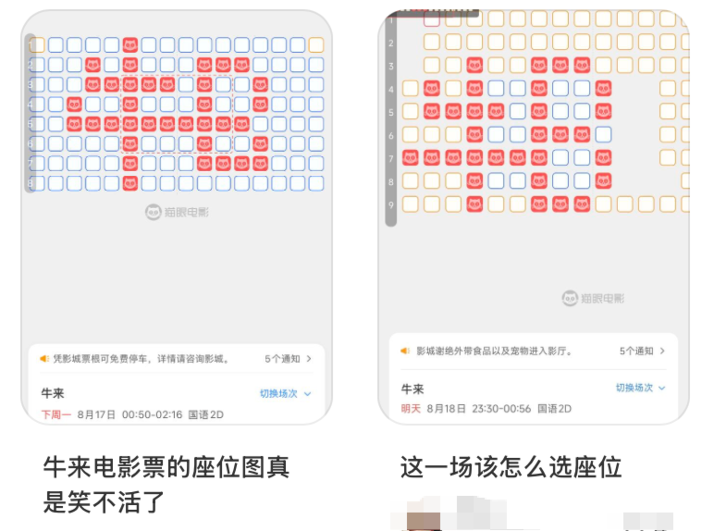  《牛来》拿到暑期档大结果了？