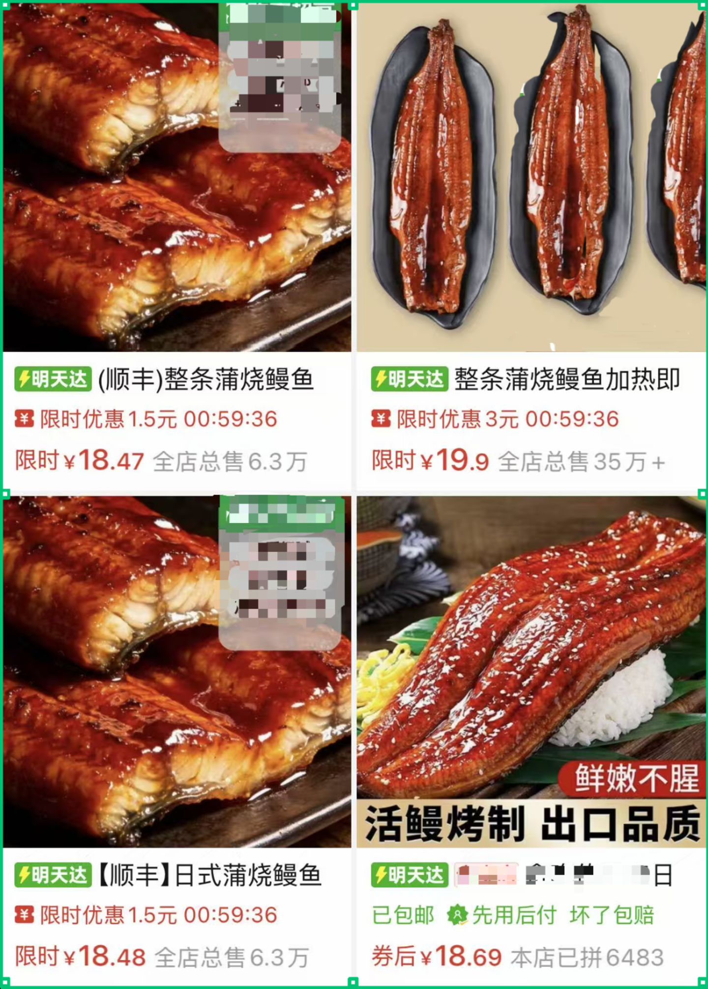 一条死鳗的“复活” 一条死鳗的“复活”