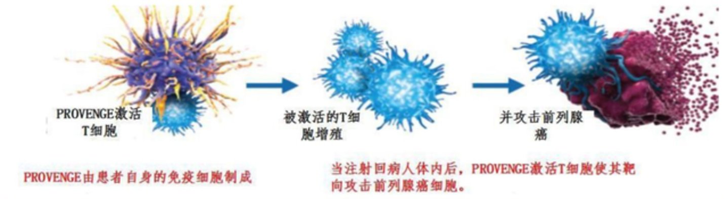 疫苗的东风终于来了