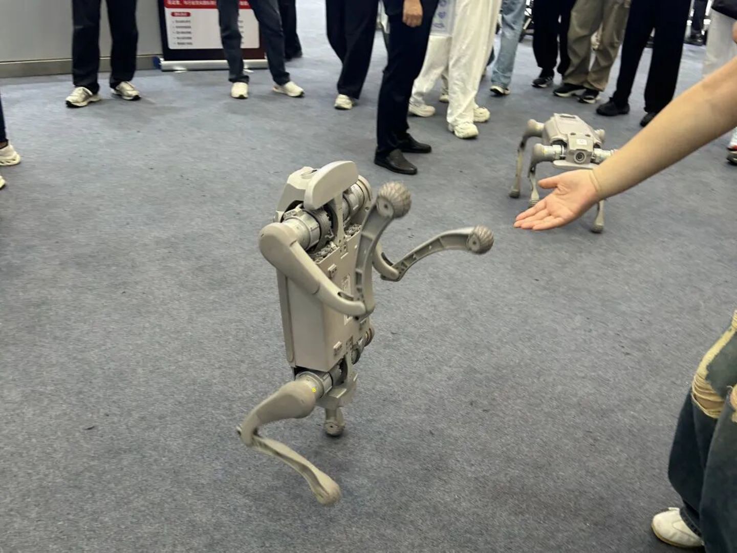 到底有多少人形机器人真正在干活? 到底有多少人形机器人真正在干活?