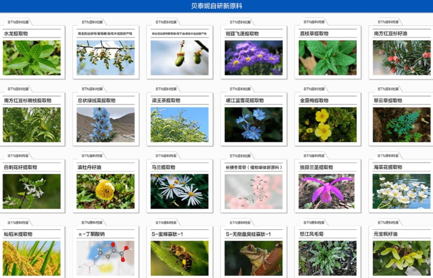 薇诺娜还在为贝泰妮抗鼎 薇诺娜还在为贝泰妮抗鼎