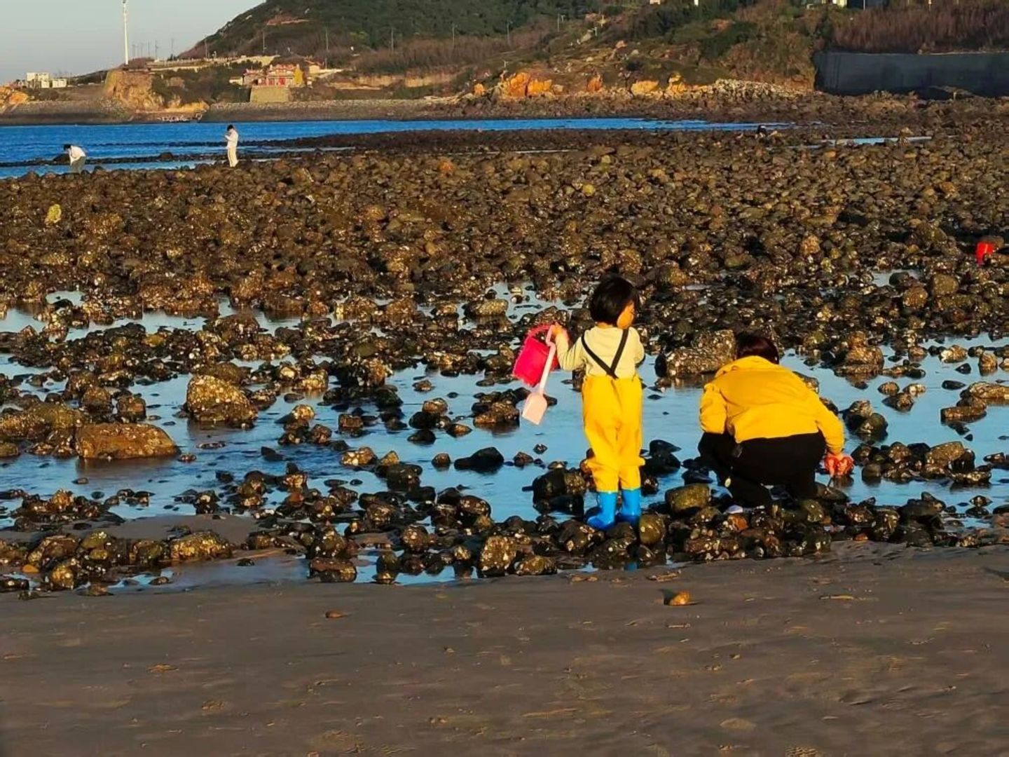 这届游客,开始把民宿住成“体验课” 这届游客,开始把民宿住成“体验课”