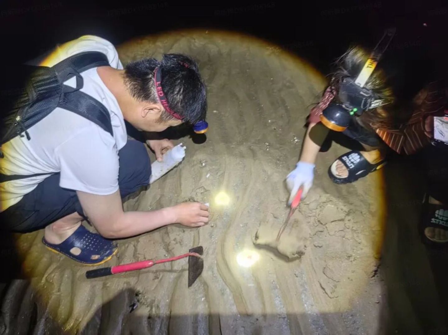 这届游客,开始把民宿住成“体验课” 这届游客,开始把民宿住成“体验课”