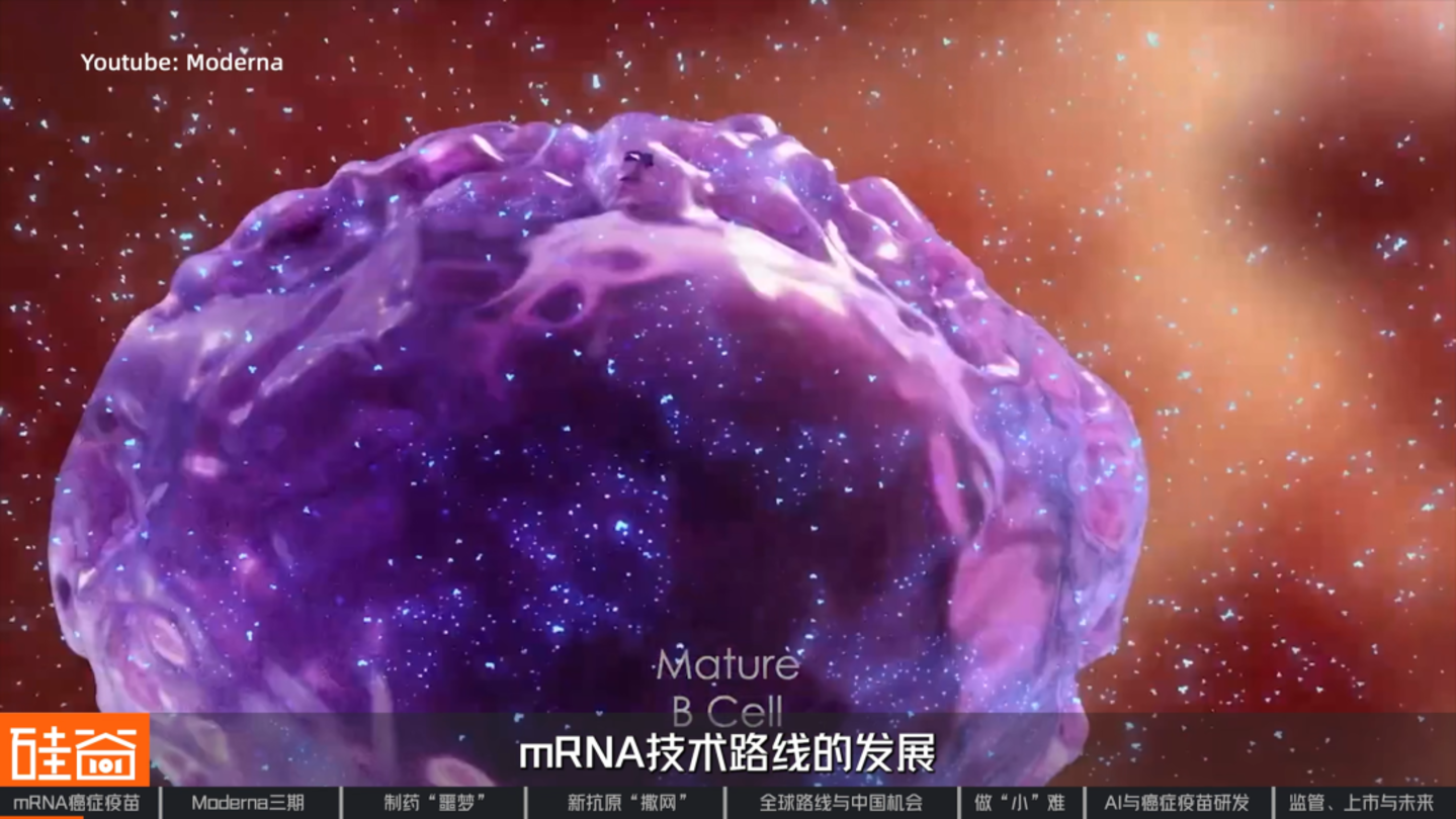  对话艾博生物CEO英博：mRNA的第二战场，拆解人类首个肿瘤疫苗三期突破