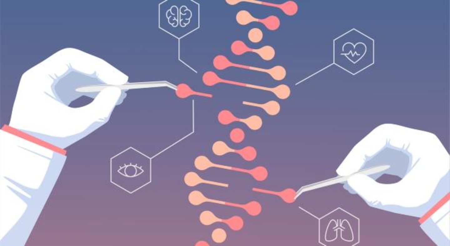 Nerai研发基于人工智能的高通量蛋白质工程技术,生产新型CRISPR基因编辑工具 Nerai研发基于人工智能的高通量蛋白质工程技术,生产新型CRISPR基因编辑工具