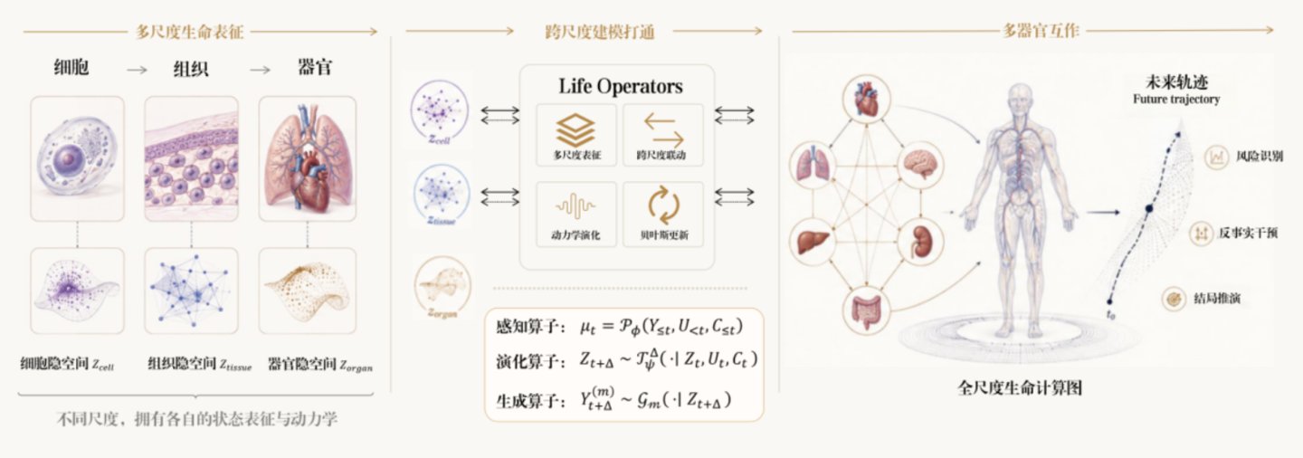  一个人，十五年，他想重写医疗AI的底层逻辑