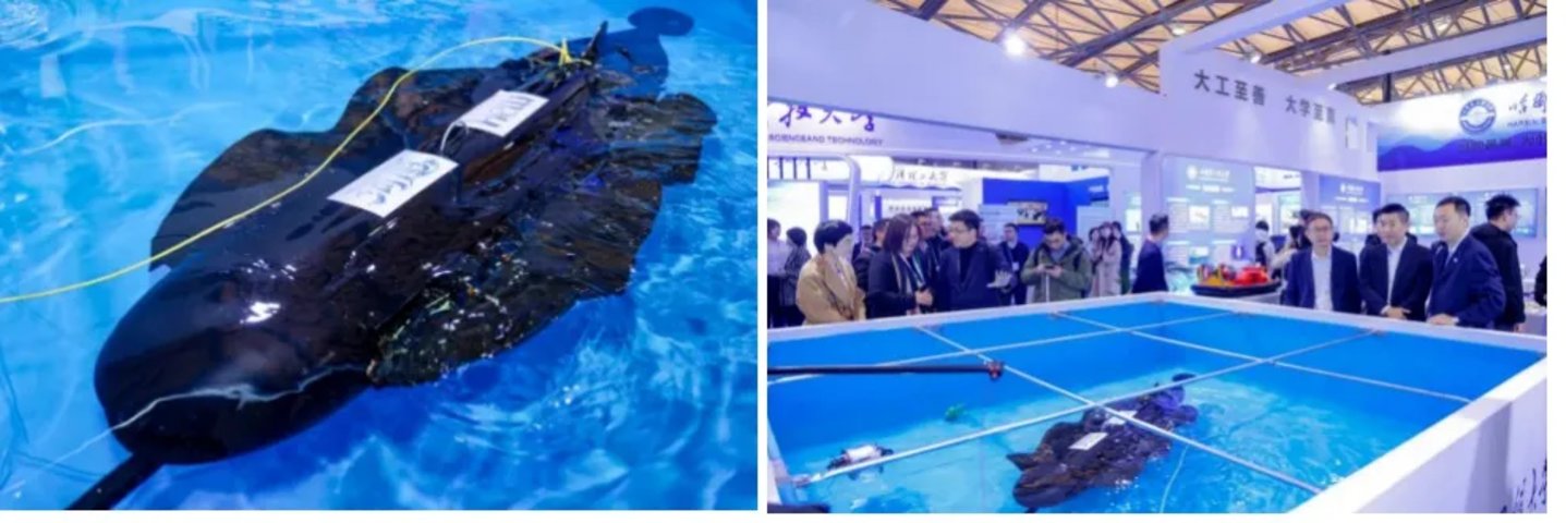  河图探海，一家天使轮公司的“深海华为”野心