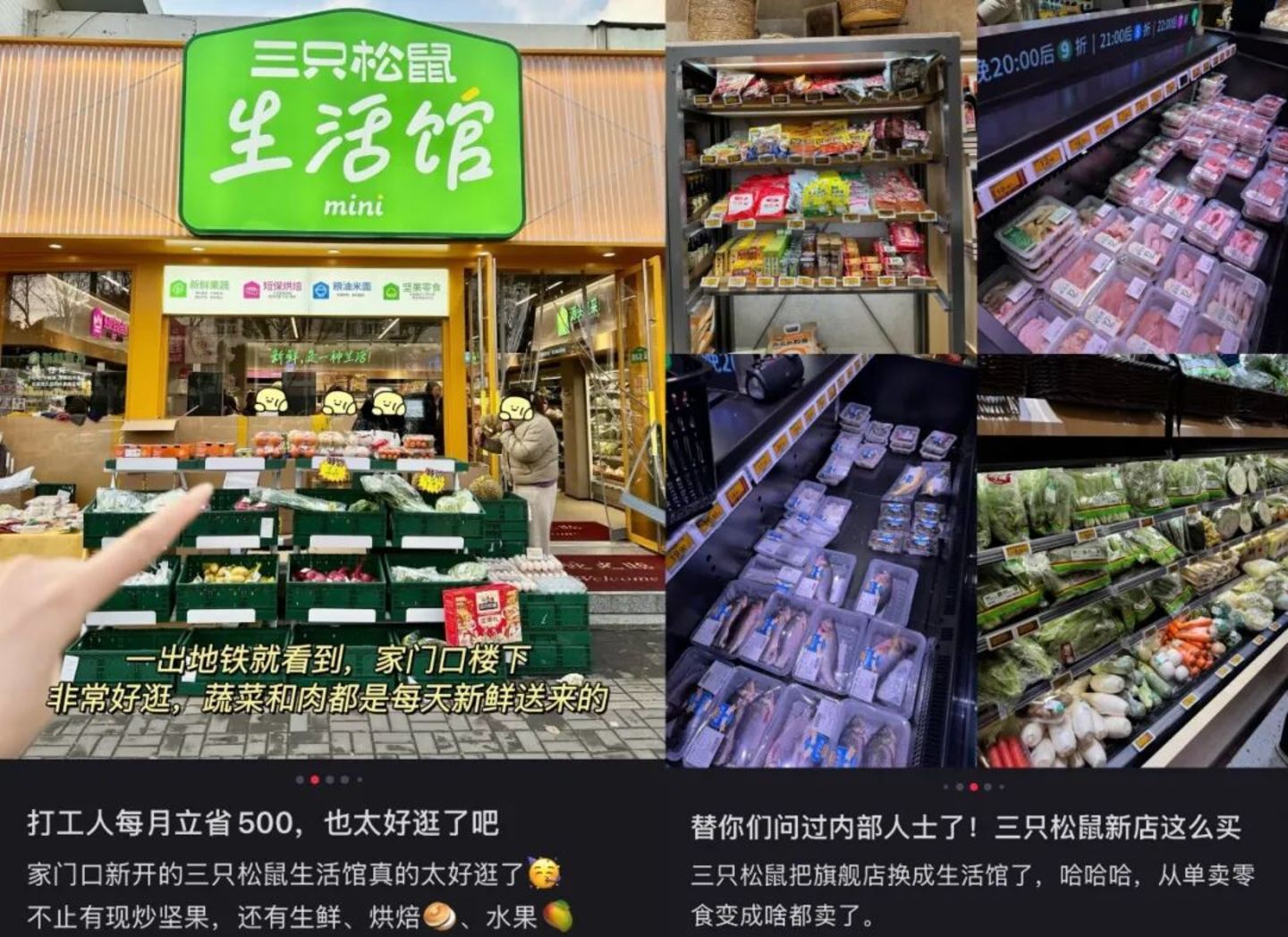 三只松鼠想通了,零食店的尽头是卖菜 三只松鼠想通了,零食店的尽头是卖菜