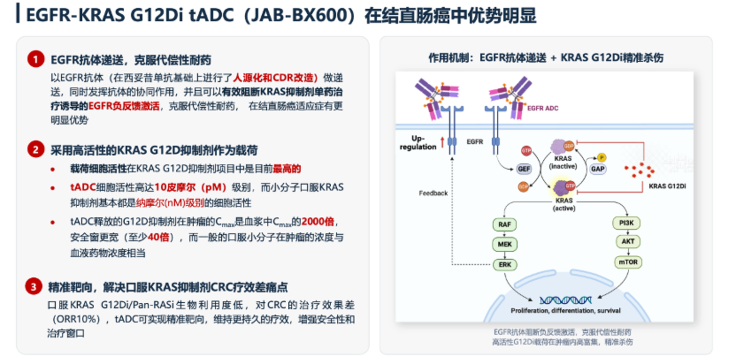 小分子药企围猎偶联药物 小分子药企围猎偶联药物