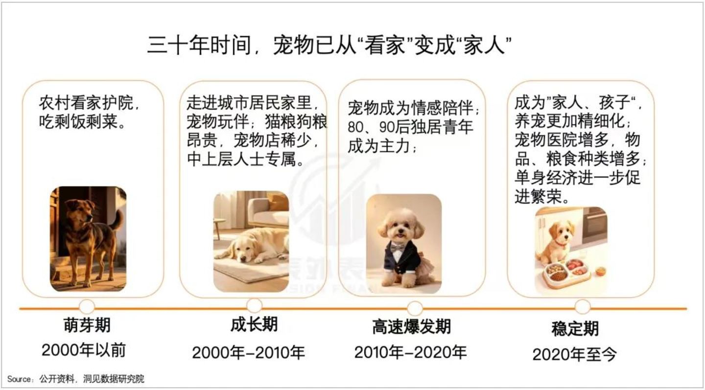 8000万养宠人,见证“它经济”从狂热到崩塌 8000万养宠人,见证“它经济”从狂热到崩塌
