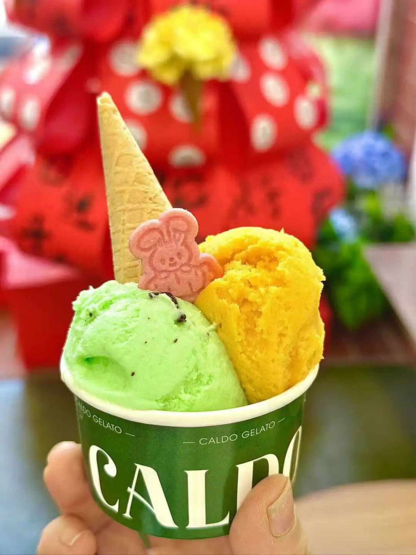 东方Gelato,野人先生真正的护城河 东方Gelato,野人先生真正的护城河