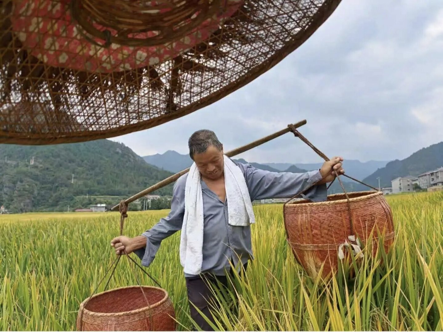 这届网友,正逐渐对十级滤镜“祛魅” 这届网友,正逐渐对十级滤镜“祛魅”