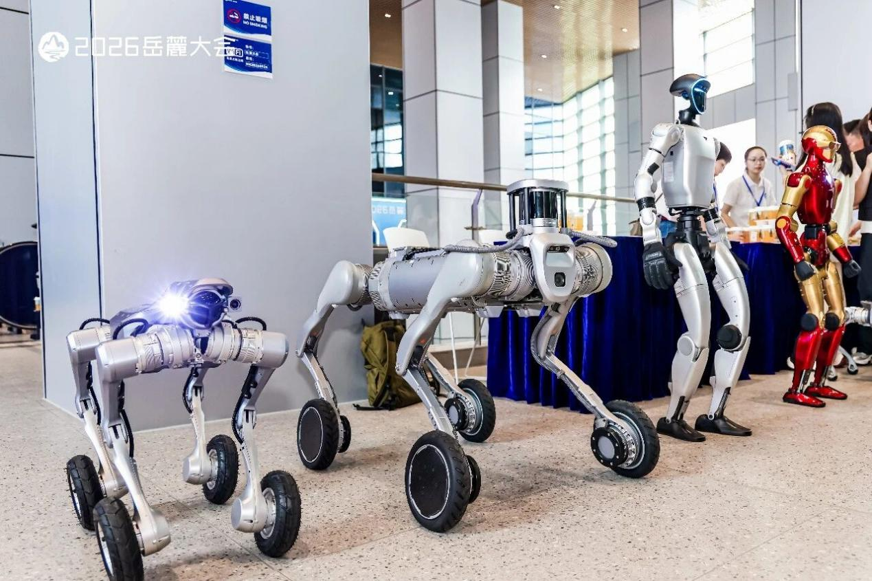 别人抢算力，湖南 AI 抢什么？ 