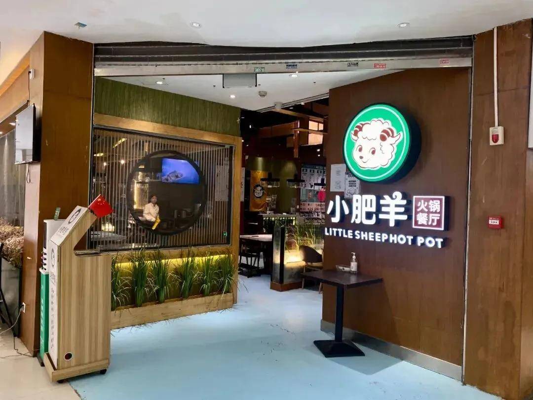 小肥羊悄悄回来了，张钢的老本被屈翠容盘活了