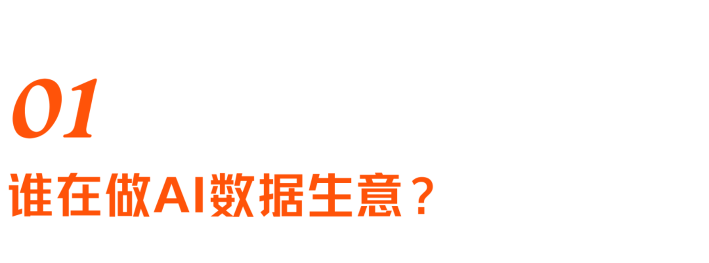  谁在给大模型出题、卖题、判卷？聊聊AI数据行业的野蛮生长
