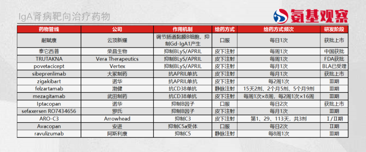  IgA肾病新药，迎来收获期之后