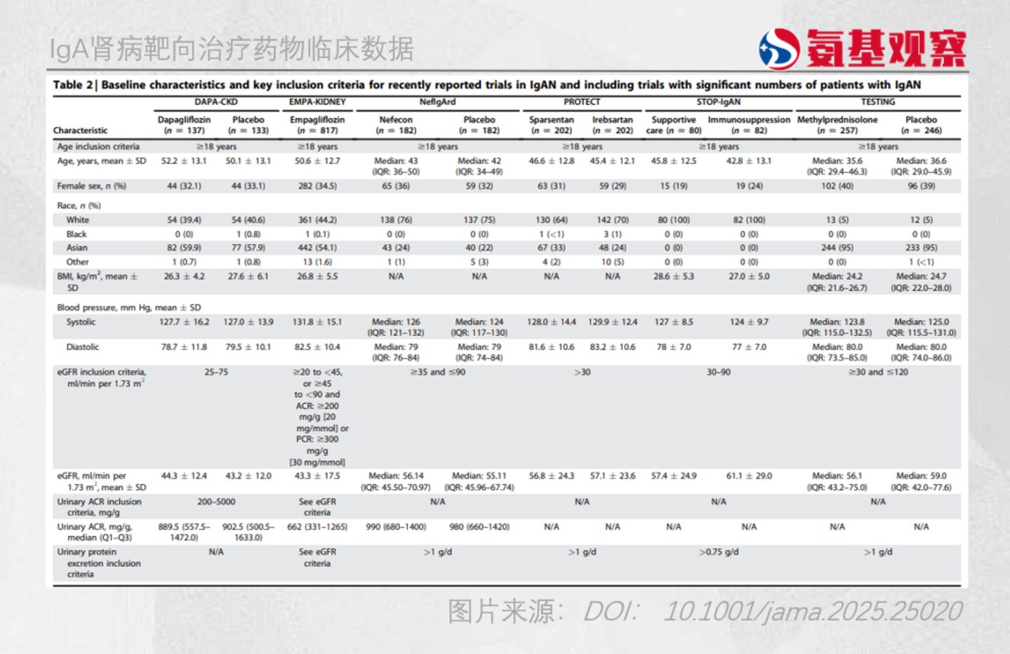  IgA肾病新药，迎来收获期之后